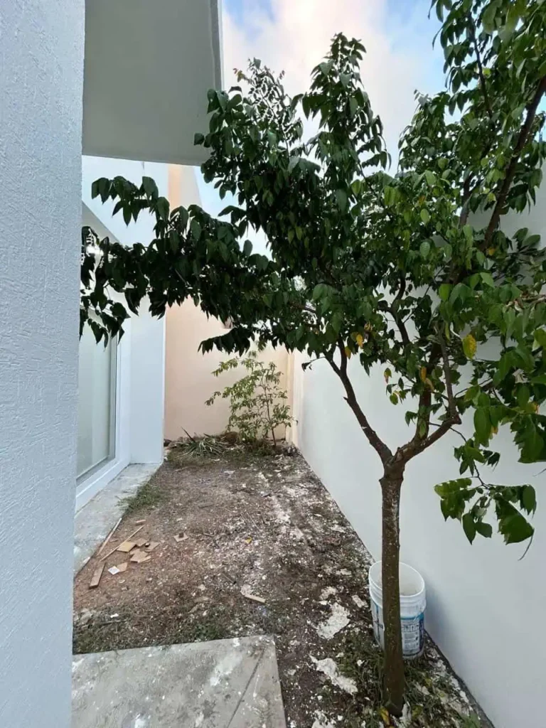 lomas del mediterráneo 6