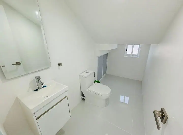 palmas de Medellín 1