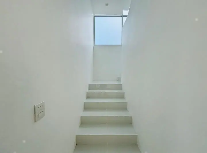 palmas de Medellín 10