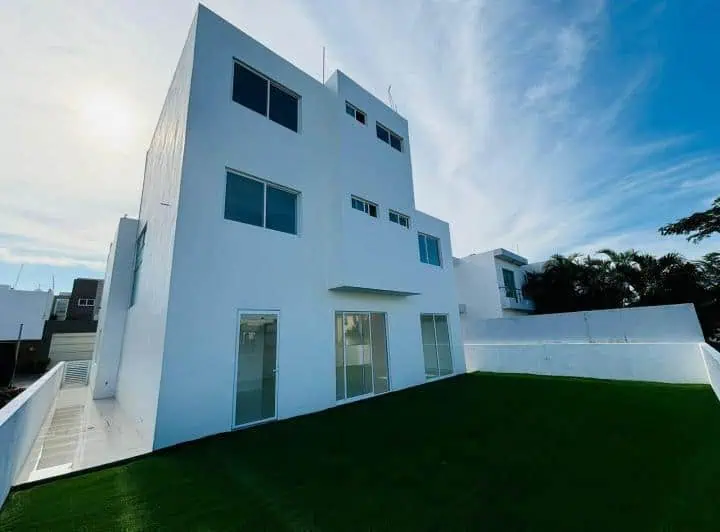 palmas de Medellín 11