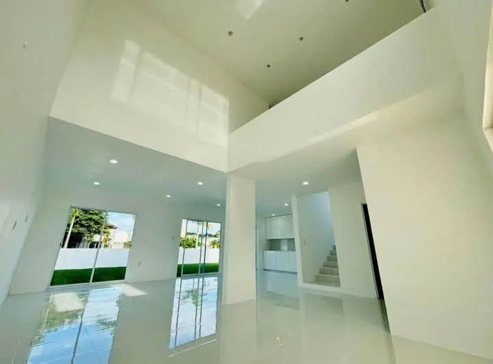 palmas de Medellín 12