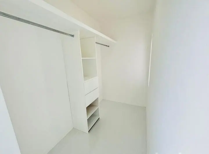 palmas de Medellín 13