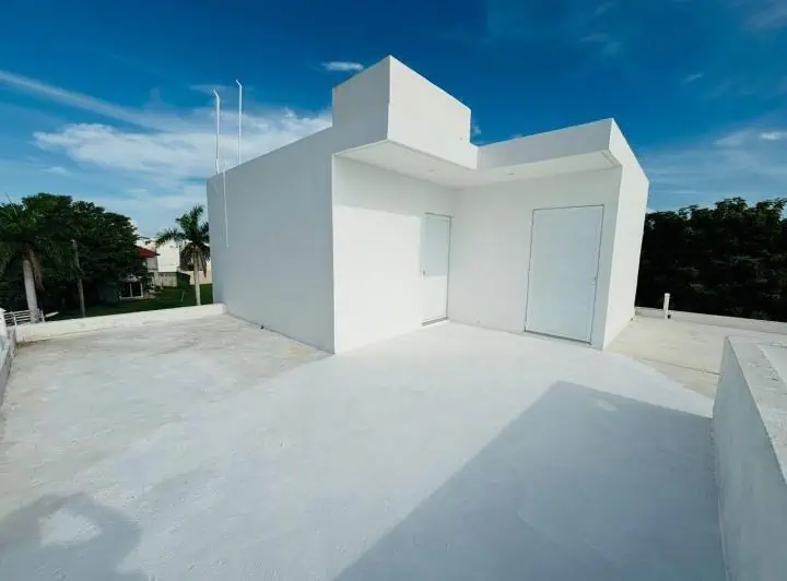 palmas de Medellín 4