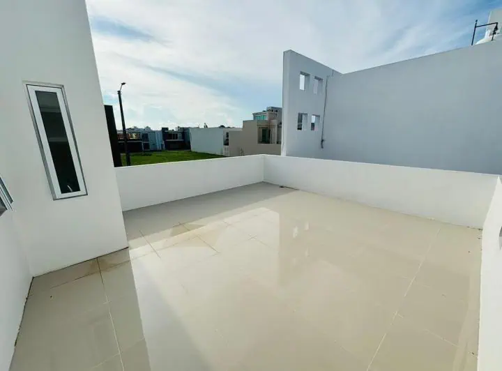 palmas de Medellín 6