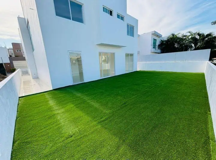 palmas de Medellín 7