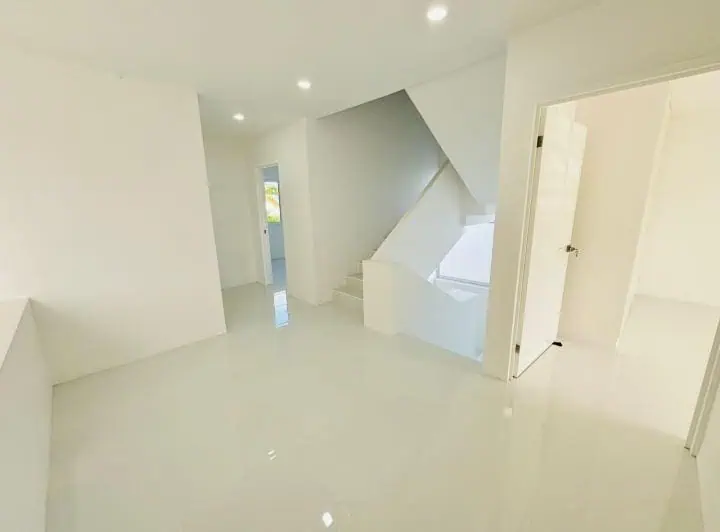 palmas de Medellín 8