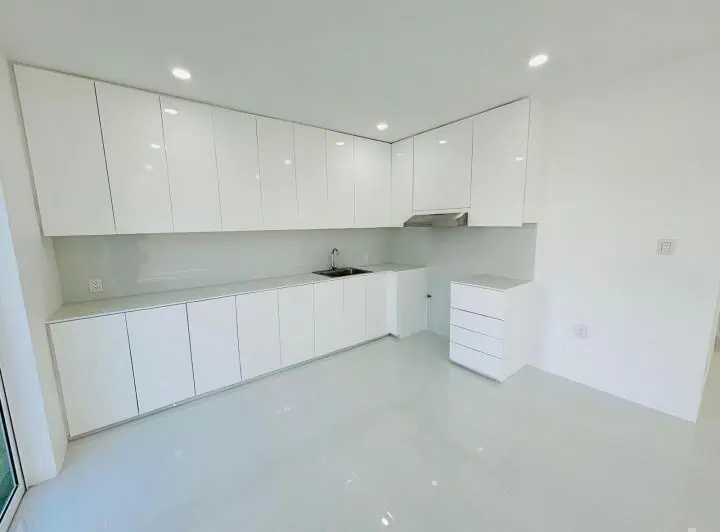 palmas de Medellín 9